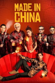 Made In China (2019) Watch HD Movies