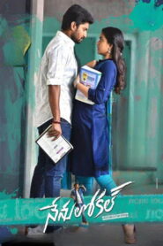 Nenu Local (2017) Watch HD Movies