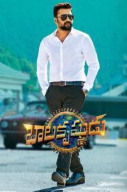 Balakrishnudu (2017) Watch HD Movies