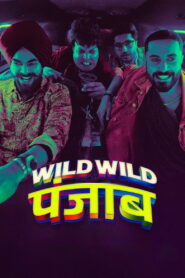 Wild Wild Punjab (2024) Watch HD Movies
