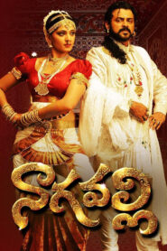Nagavalli (2010) Watch HD Movies