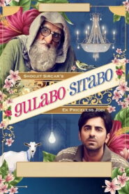 Gulabo Sitabo (2020) Watch HD Movies