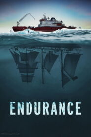 Endurance (2024) Watch HD Movies