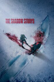 The Shadow Strays (2024) Watch HD Movies