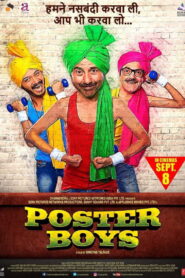Poster Boys (2017) Watch HD Movies