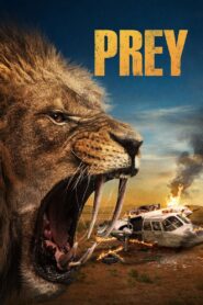 Prey (2024) Watch HD Movies