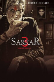 Sarkar 3 (2017) Watch HD Movies