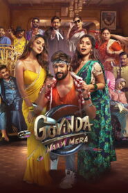 Govinda Naam Mera (2022) Watch HD Movies