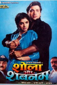 Shola Aur Shabnam (1992) Watch HD Movies