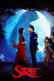 Stree (2018) Watch HD Movies