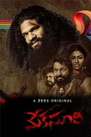 Meka Suri 2 (2020) Watch HD Movies