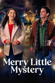 Merry Little Mystery (2025) Watch HD Movies