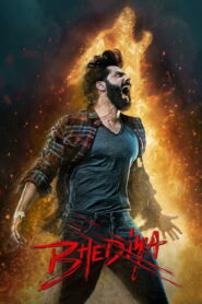 Bhediya (2022) Watch HD Movies