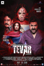 Tevar (2019) Watch HD Movies
