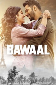 Bawaal (2023) Watch HD Movies