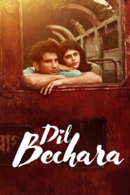 Dil Bechara (2020) Watch HD Movies