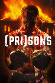 Carnage (2024) Watch HD Movies