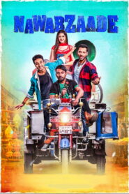 Nawabzaade (2018) Watch HD Movies