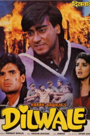 Dilwale (1994) Watch HD Movies