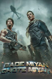 Bade Miyan Chote Miyan (2024) Watch HD Movies