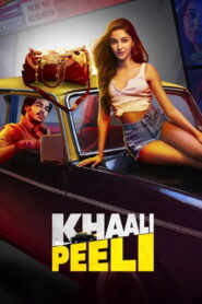 Khaali Peeli (2020) Watch HD Movies