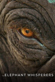 The Elephant Whisperers (2022) Watch HD Movies