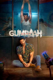 Gumraah (2023) Watch HD Movies