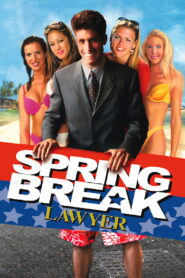 Spring Break Lawyer (2001) Watch HD Movies