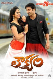 Loukyam (2014) Watch HD Movies