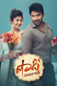 Shaadi Mubarak (2021) Watch HD Movies