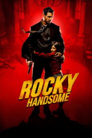 Rocky Handsome (2016) Watch HD Movies