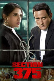 Section 375 (2019) Watch HD Movies