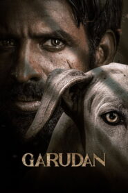 Garudan (2024) Watch HD Movies