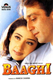 Baaghi (2000) Watch HD Movies