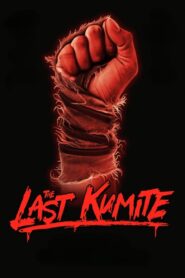 The Last Kumite (2024) Watch HD Movies
