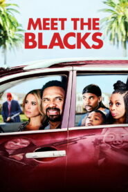 Meet the Blacks (2016) Watch HD Movies