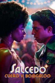 Salcedo, Leather, and Boogaloo (2026) Watch full HD Series