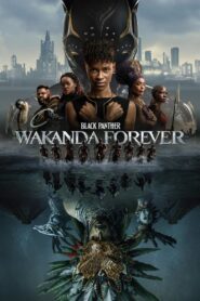 Black Panther: Wakanda Forever (2022) Watch HD Movies