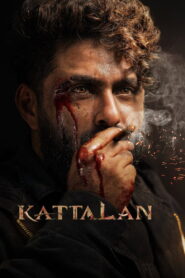 Kattalan (2026) Hindi Dubbed AMZN