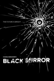 Black Mirror (2013) Hindi Season 2 Complete Netflix
