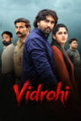 Vidrohi (2025) Hindi Dubbed UltraPlay